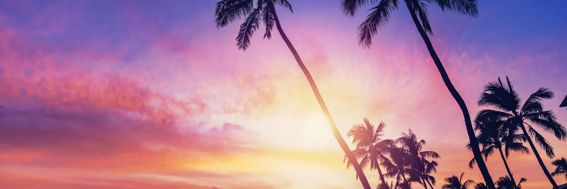 Beautiful tropical beach with palm trees and crystal clear water, travel destination photography